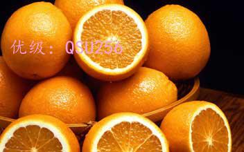 ģ