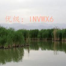 Χ