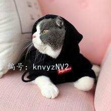 ޿