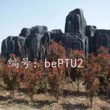ָ