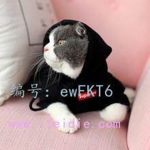 Ȼ