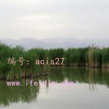 ź