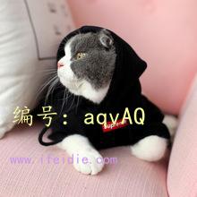 û