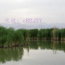 ⲿ