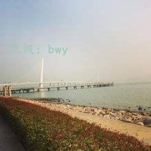 ޿