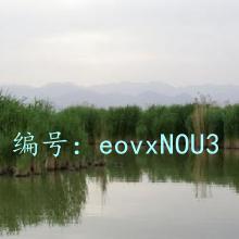 Χ