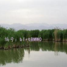 ϣ
