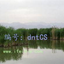 ⲿ