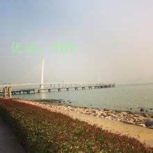 ޿