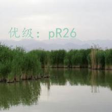 ȷ